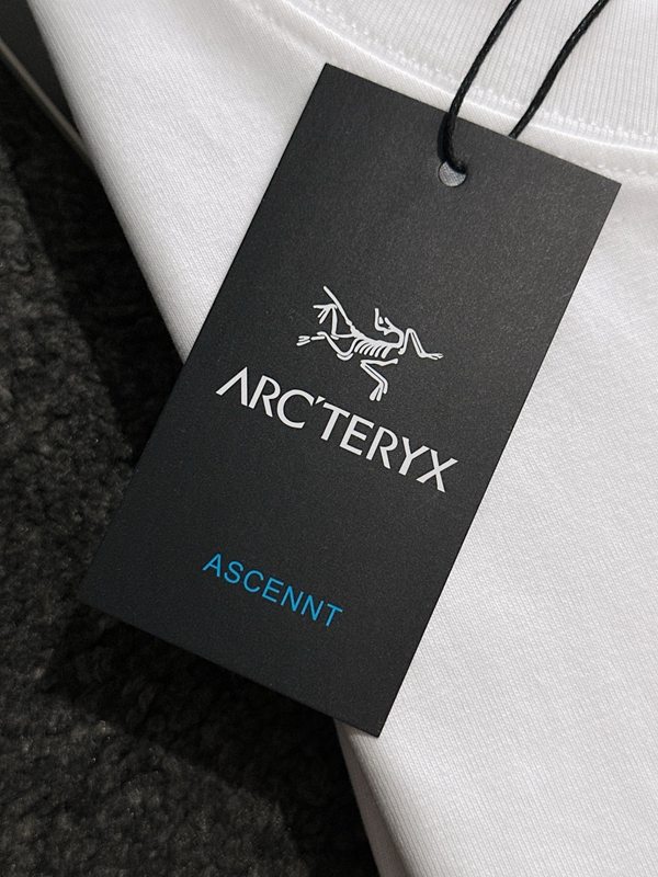 ブランドTシャツ着用イメージ